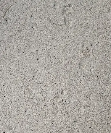 Traces de pas d'enfant dans le sable